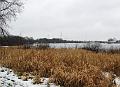 Wandeling De Paalse Plas 24-2-2013 (23)